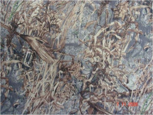  Оксфорд 240D PU1500 ОХОТА ш.150+-2 см. C77 Кусты  ТриКатушки