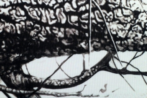  Оксфорд 240Д PU1000, RF 37  ТриКатушки