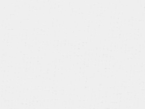  Мех BRUSHED TRICOT ворсовая ткань white  ТриКатушки