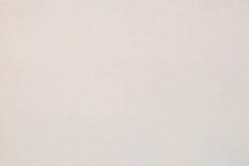  Ткань вуаль TIA MDX070, 280см, 110г/м2, 100%ПЭ, цвет 009-белый  ТриКатушки